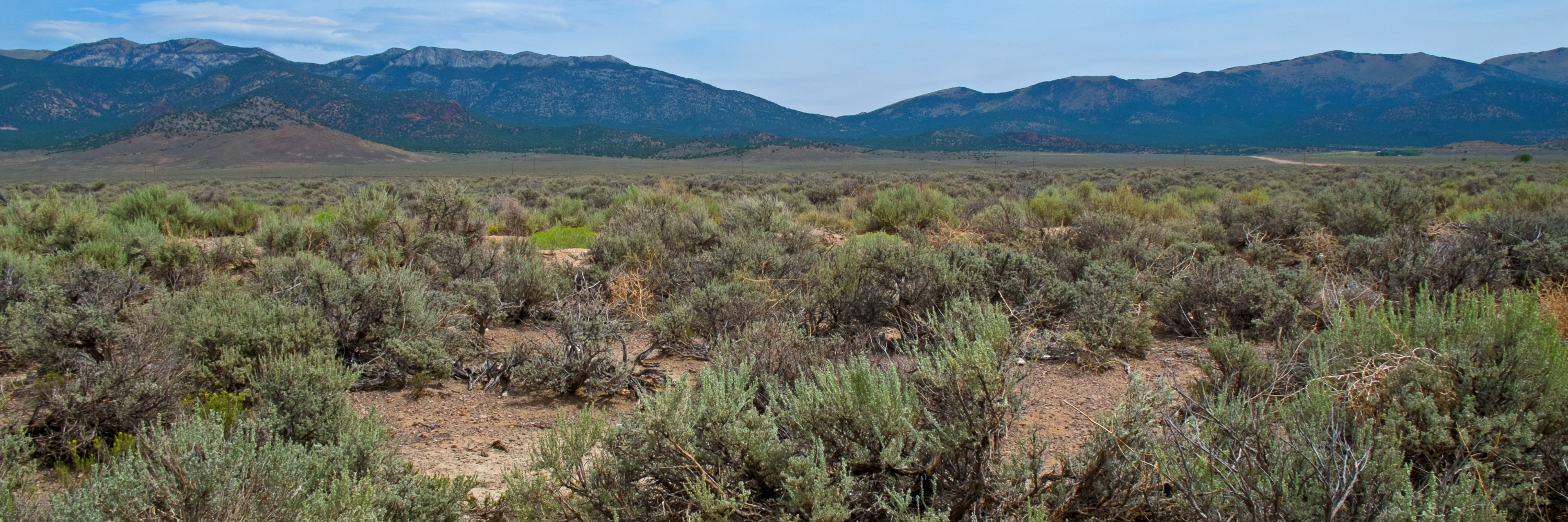 Segment of the desert in northern Nevada